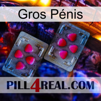 Gros Pénis 15